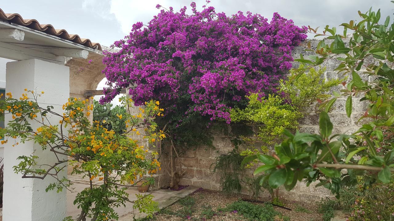 أوستوني Masseria Palombara Grande المظهر الخارجي الصورة