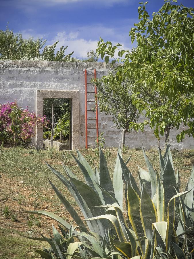 أوستوني Masseria Palombara Grande المظهر الخارجي الصورة