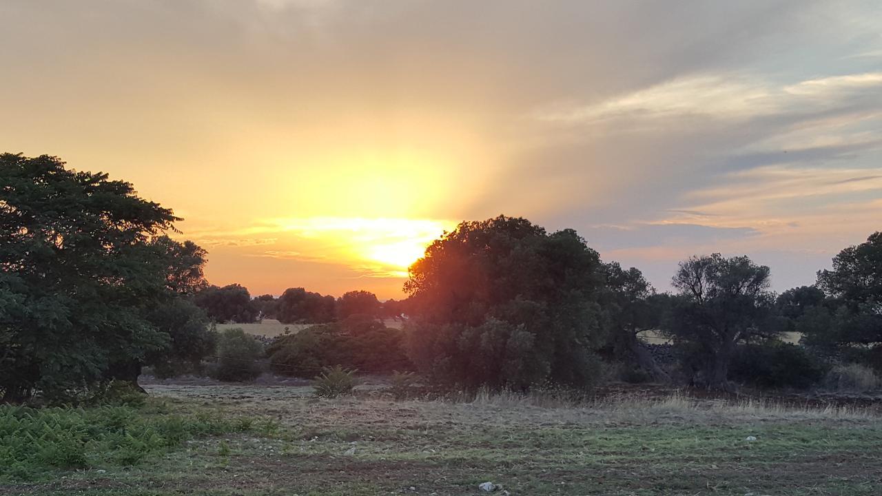 أوستوني Masseria Palombara Grande المظهر الخارجي الصورة