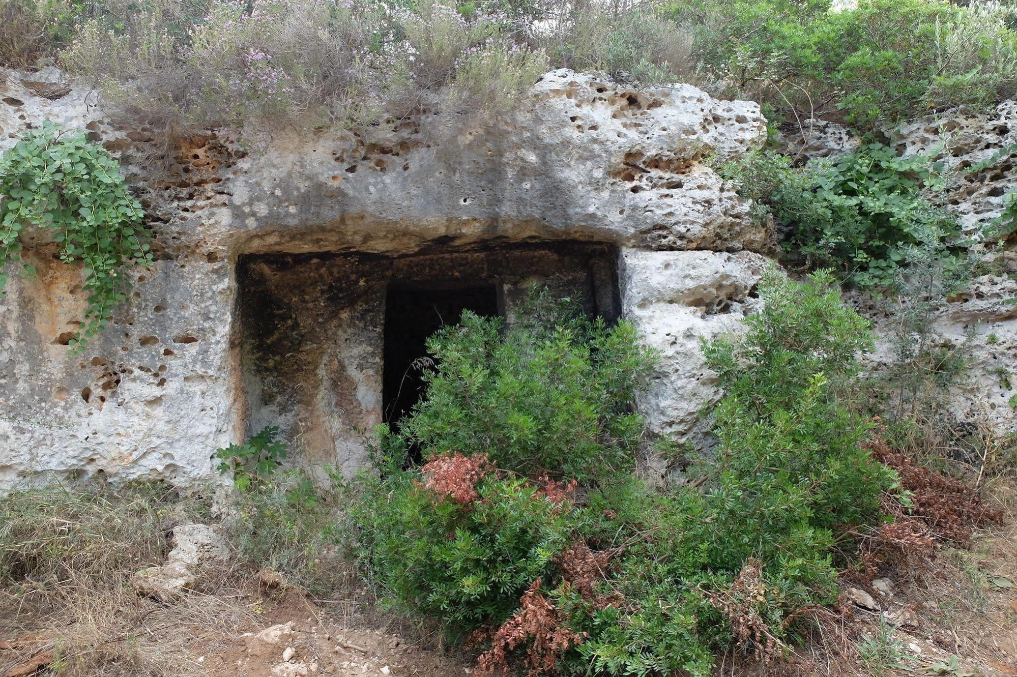 أوستوني Masseria Palombara Grande المظهر الخارجي الصورة