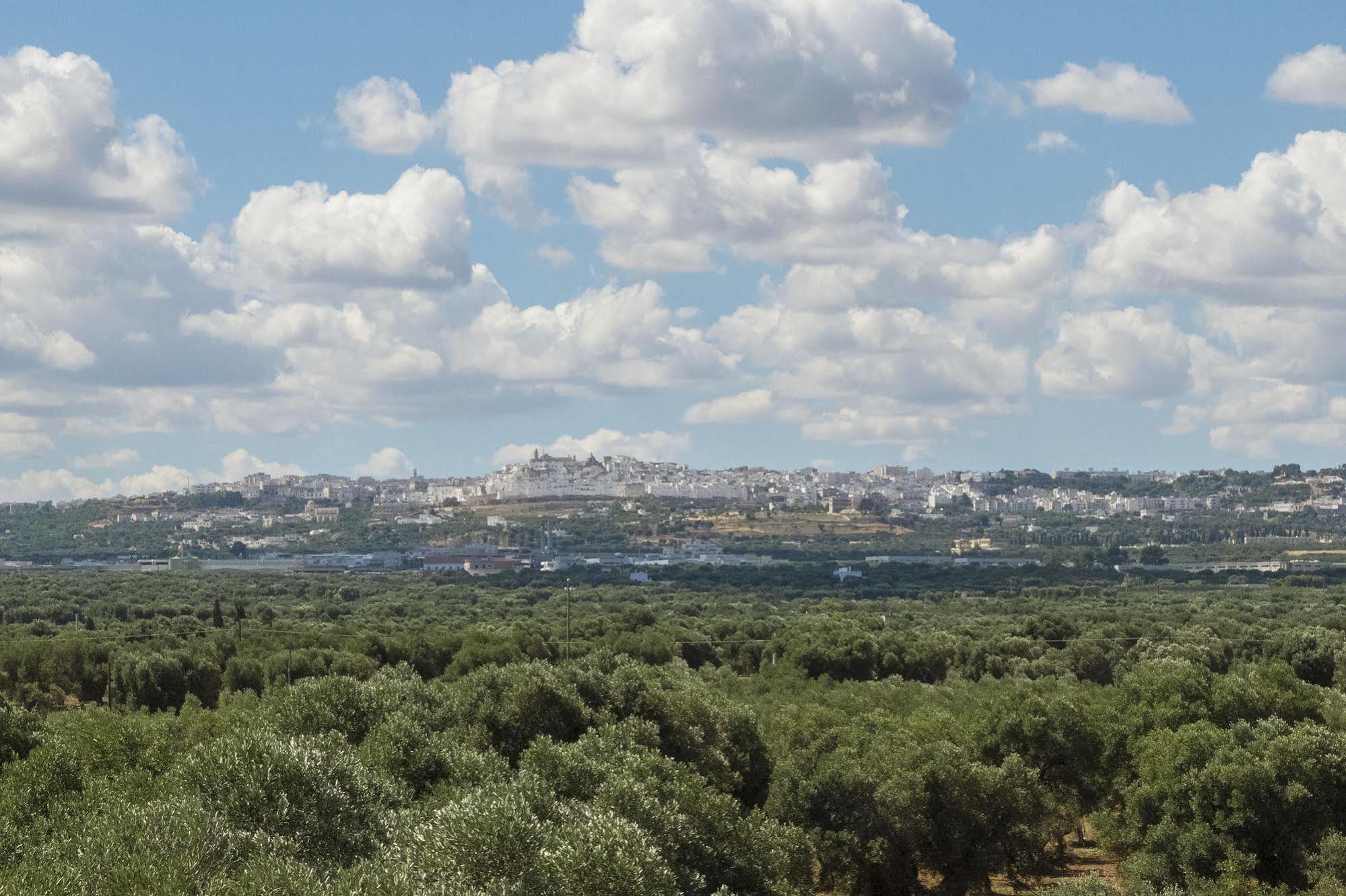 أوستوني Masseria Palombara Grande المظهر الخارجي الصورة