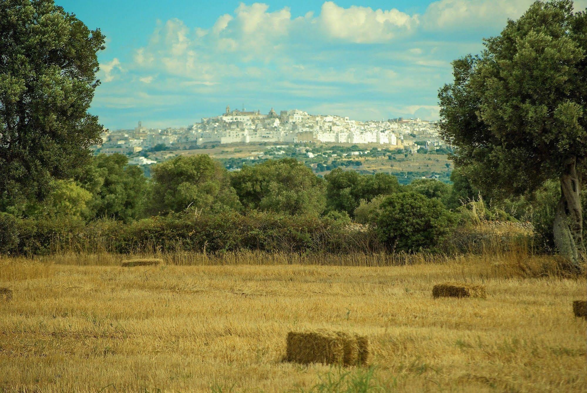 أوستوني Masseria Palombara Grande المظهر الخارجي الصورة